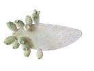 A white and green, glazed ceramic platter in the shape of a prickly pear cactus pad with attached prickly pear fruit. The surface has raised dots representing spines. 

Handmade White Cactus Platter with Green Accents- Italian Design by Enza Fasano Ceramiche