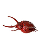 A handcrafted ceramic sculpture of a rhinoceros beetle by Enza Fasano, featuring a vibrant, glossy deep-red glaze. The piece is stylized with smooth, rounded contours and prominent, elegant horns extending forward. Its surface reflects light, highlighting the rich texture and artisanal detail of the clay.