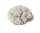 A rounded, cauliflower-like coral sculpture in an off-white hue. It consists of several tightly packed, bulbous lobes with a highly granular, pebbled texture that creates a soft, cloud-like appearance.