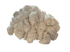 A dense, mounded white coral sculpture with a heavy, cauliflower-style growth pattern. The lobes are closely bunched together, covered in tiny, uniform bumps that give the piece a fuzzy or frosted visual texture.