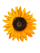 Sunflower pin