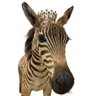 Zebra
zebra taxidermy austin
zebra austin
taxidermy austin

wooden rocker

taxidermy

Sculpture

rocking horse

religious

London

Large art

jeweled

crown

Charolotte

Art

Andre Robolobavich

skirt

adorned

striped

brown

life size

wildlife

safari

ethical

exotic

zebra taxidermy

